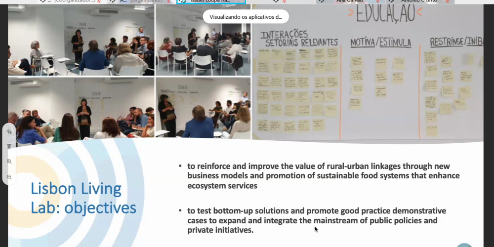 Portuguese TWIST Workshop presents Lisbon Living Lab