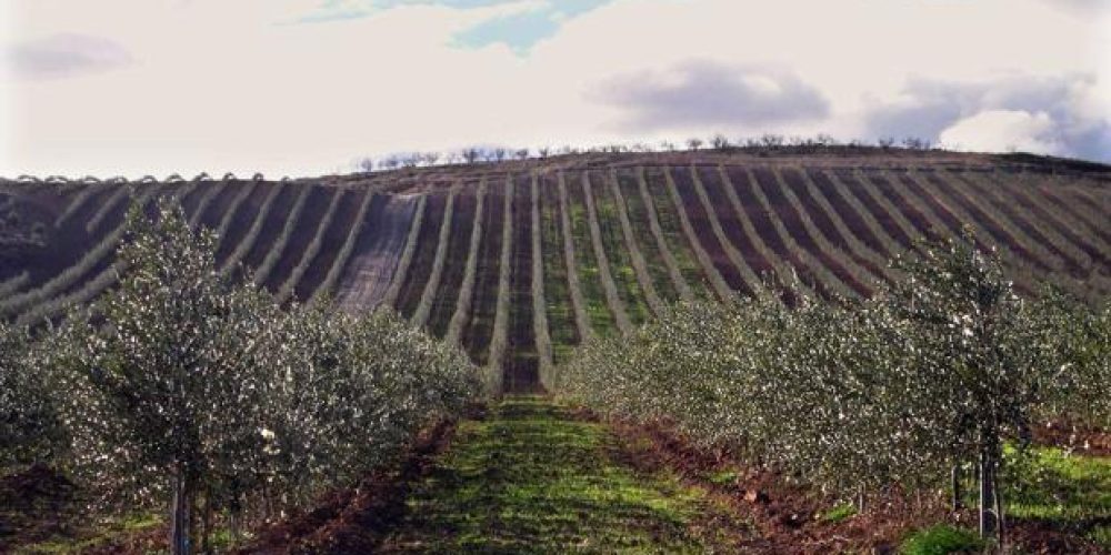 CENTA participated in REUTIVAR project final workshop